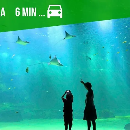 Joli T3 Avec Exterieur Proche Du Centre Et Des Remparts