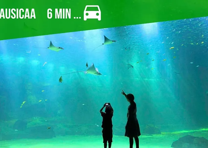 Joli T3 Avec Exterieur Proche Du Centre Et Des Remparts